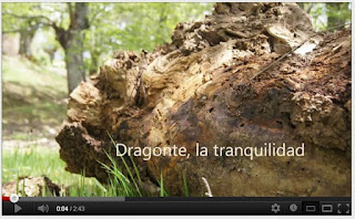 Dragonte, un paisaje precioso.