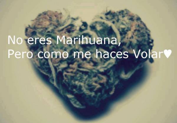 Todo En Frases: Frases De Amor Con Imagenes