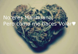 Todo En Frases: Frases De Amor Con Imagenes