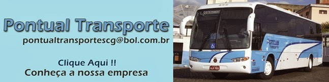 Pontual Transporte