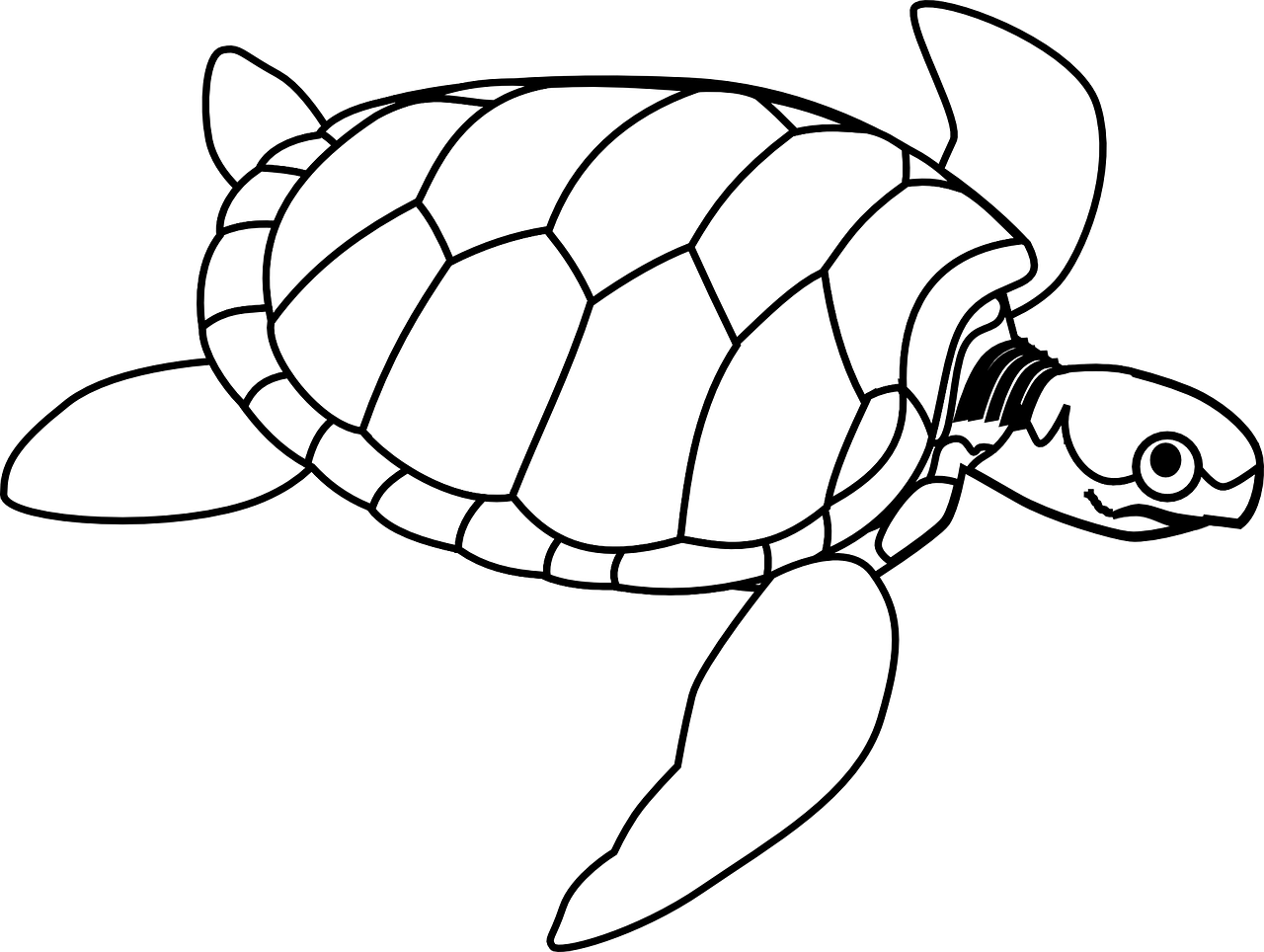 Best sea turtle coloring pages for kids