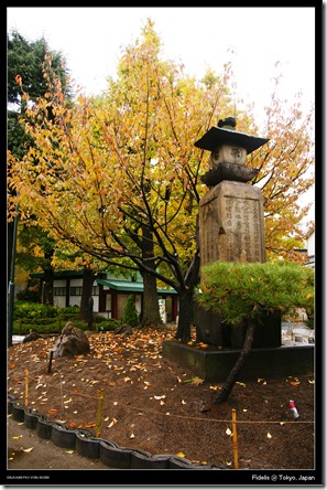 Asakusa38