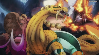 ワンピース アニメ 1072話 百獣海賊団 ゾオン系 | ONE PIECE Episode 1072