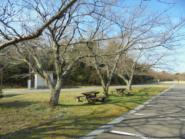 春のむきばんだ史跡公園