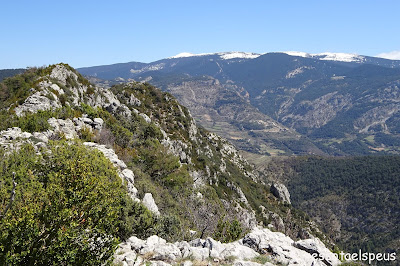 Ruta circular al Roc de Galliner, a la muntanya d'Alinyà