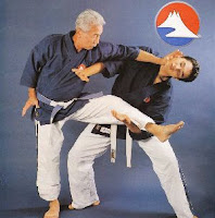 Hiroo Mochizuki, Yoseikan Budo