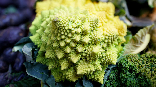 The fractal display of Romanesco cauliflower (pictured) is one of nature's most beautiful.  FLICKR/AURELIEN GUICHARD (CC BY-SA 2.0)