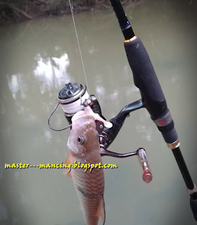 Mancing Cesting, Bagaimana Trik Dan Cara Yang Baik