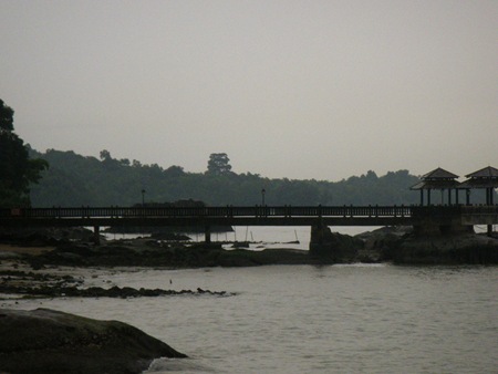 IMGP2441