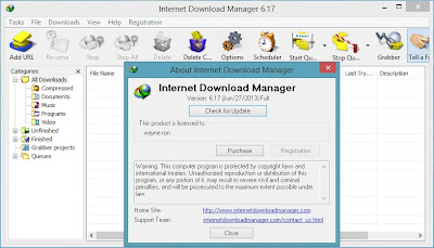 Download IDM 6.17 Final with Crack