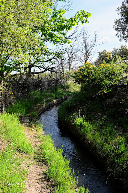 Acequia Alcázar, Jérez del Marquesado