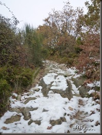P1050085