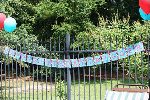 Trigger's 2nd Birthday Party 099