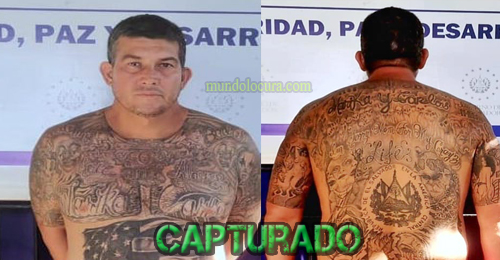 El Salvador: Capturan a alias "El Pollo": peligroso palabrero de la MS fue deportado de los Estados Unidos