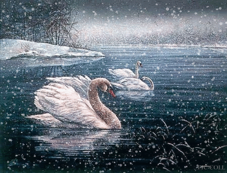 animales (5)