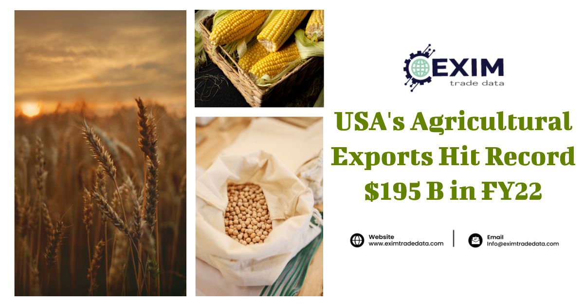 USA's Agricultural Export