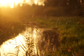 Best UK photography blog Norfolk countryside Vuelio media