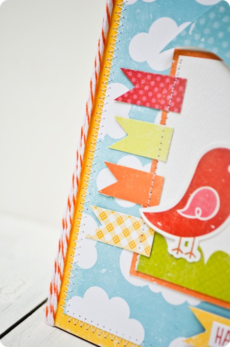 EP-Birthay-Bird-detail3