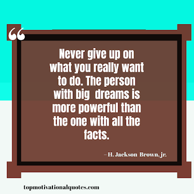 never give up on what you really want to do. the person with big dreams is more powerful than the one with all the facts