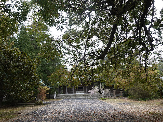 鳥取県西伯郡大山町名和　名和神社　参道