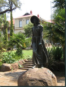 Bloemfontein and sunflower spirals 024