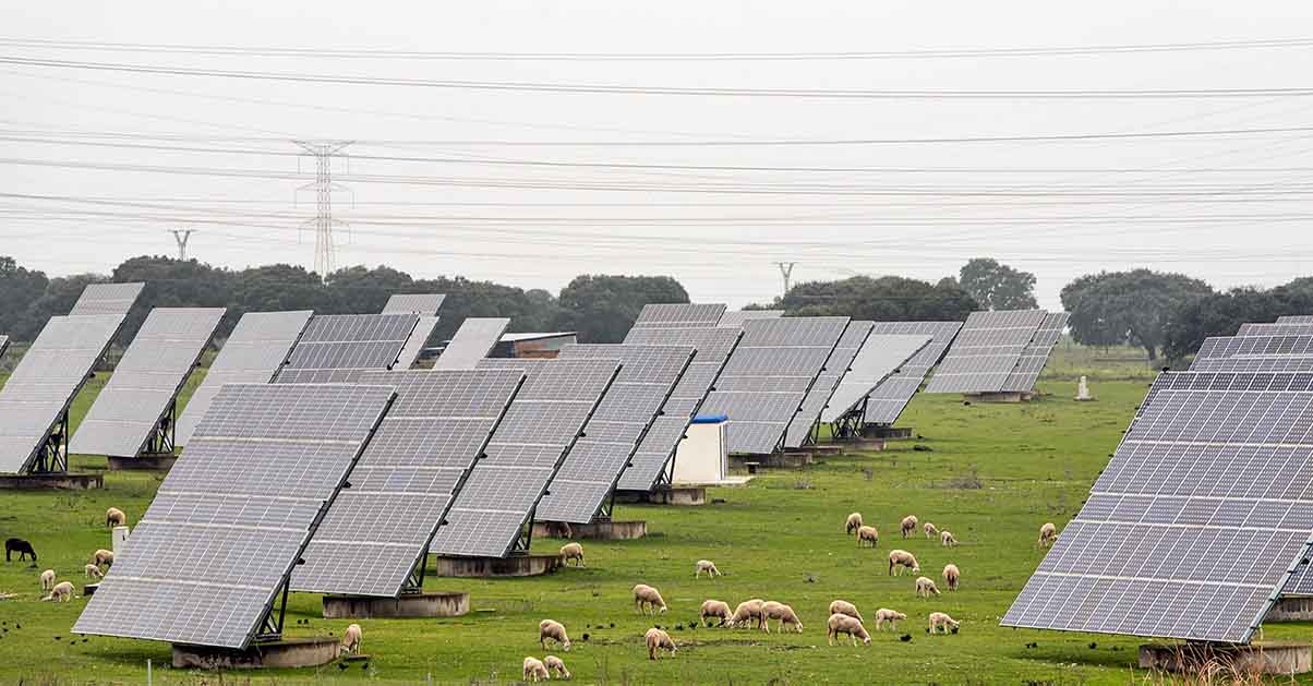 Rooftop Solar panels in Pakistan
