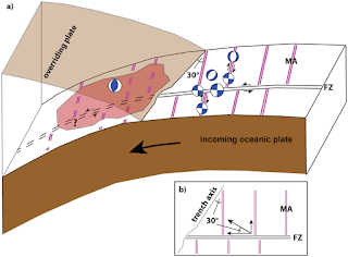 Modelo conceptual de las principales características de la zona de subducción donde ocurren los sismos de rumbo en la región de la elevación exterior de la litosfera oceánica. Las anomalías magnéticas (líneas dobles de color magenta) están desplazadas con la zona de fractura y una tendencia de ~ 30 ° oblicua al eje de la trinchera.