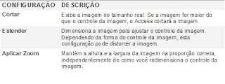 usar imagens em formularios, access, dicas access