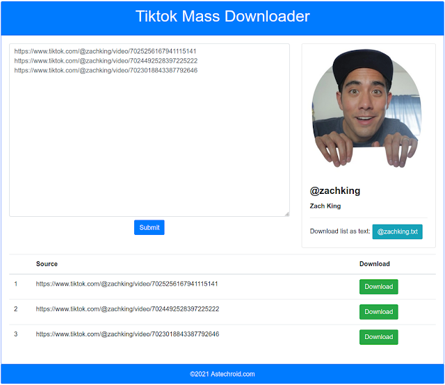 Tiktok Mass Downloader - Submitted