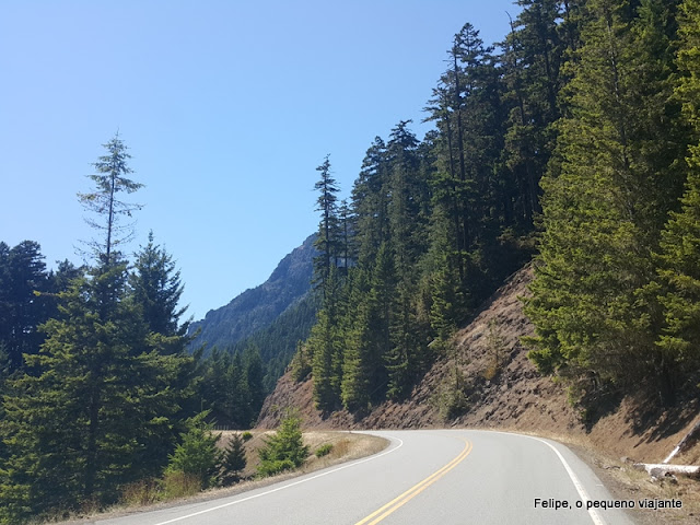 hurricane_ridge_olympic_national_park