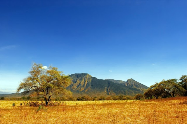 Taman Nasional Baluran Banyuwangi