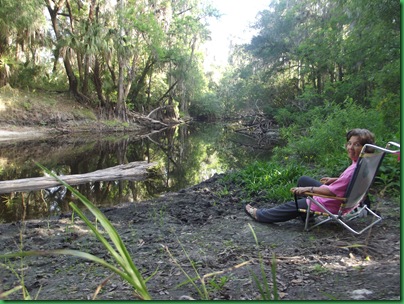 By the Alafia site 25 016