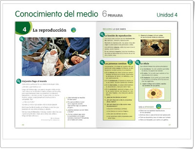 http://www.juntadeandalucia.es/averroes/centros-tic/41009470/helvia/aula/archivos/repositorio/0/194/html/recursos/la/U04/index.html