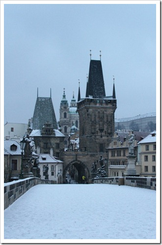 01 Charles Bridge 009 (663x1024)