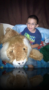 6-26-2011 lion