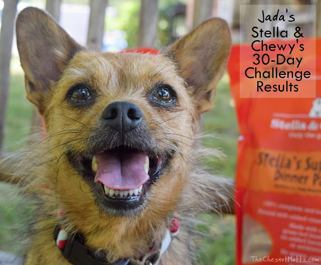 Jada's Stella & Chewy's 30-Day Challenge Results