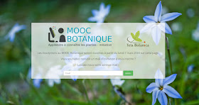 http://mooc.tela-botanica.org/welcome/index.php