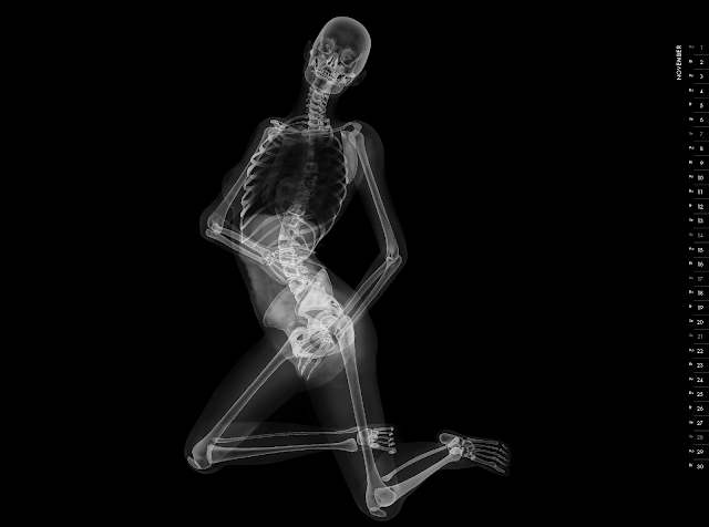 Eizo nude X-ray calender 2010 november