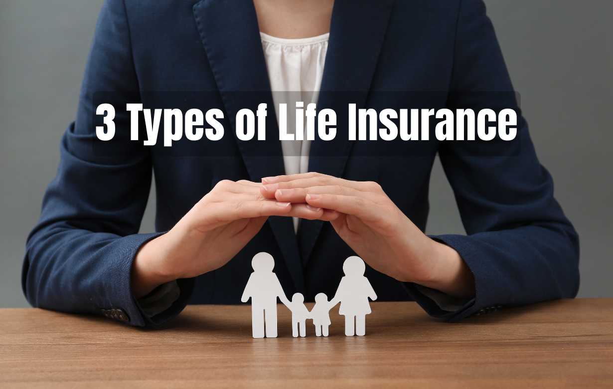 3 Types of Life Insurance