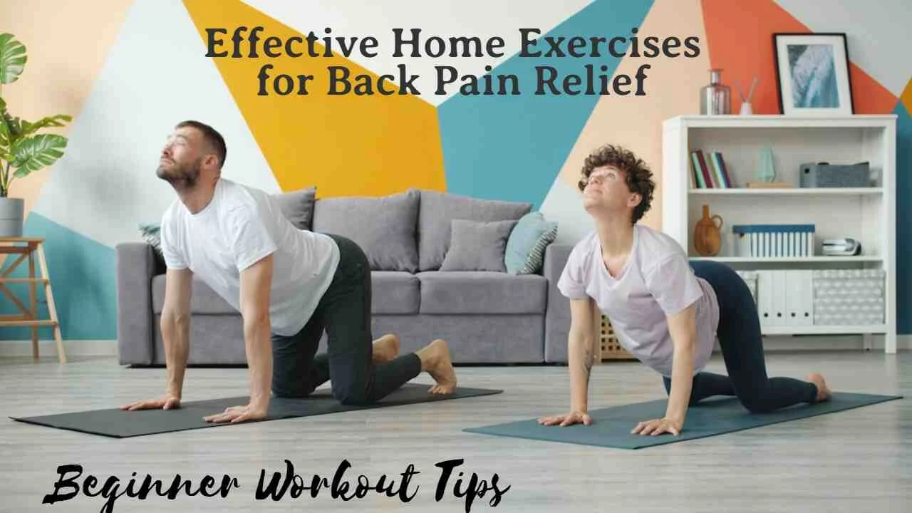 Effective Home Exercises for Back Pain Relief Effective Home Exercises for Back Pain Relief