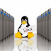 Linux Web Hosting