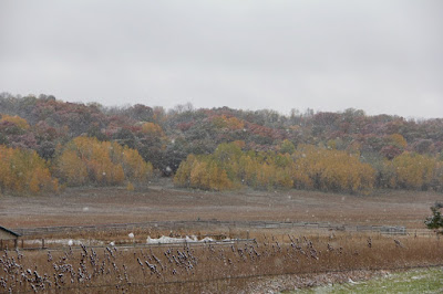 ridges near the St. Croix river