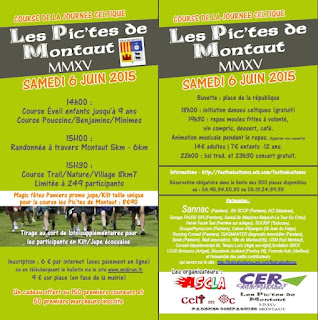 http://midirun.fr/2015/05/les-pictes-de-montaut/