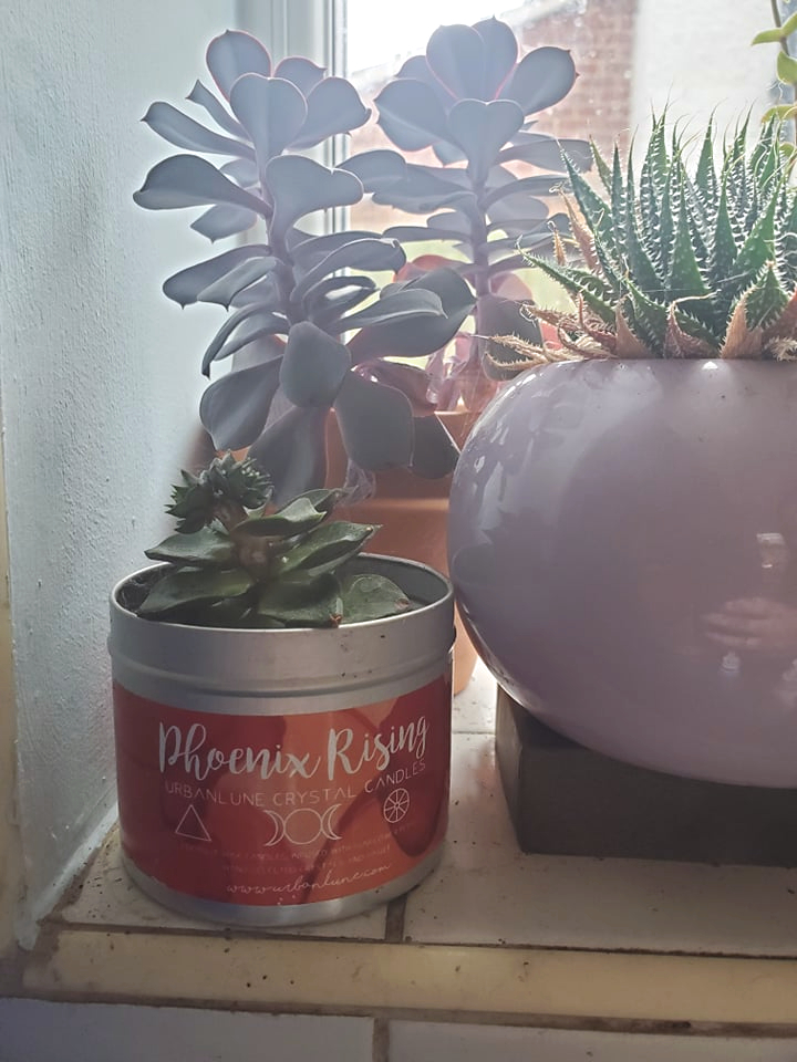 used candle turned into a cute plant pot for succulents