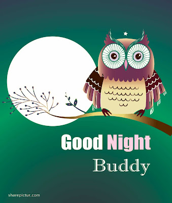 Sweet good night owl picture