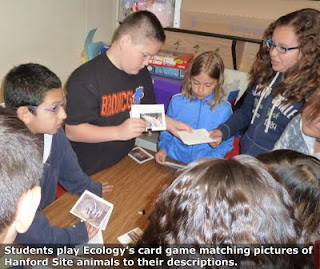 Students play Ecology's card game matching pictures of Hanford Site animals to their descriptions.