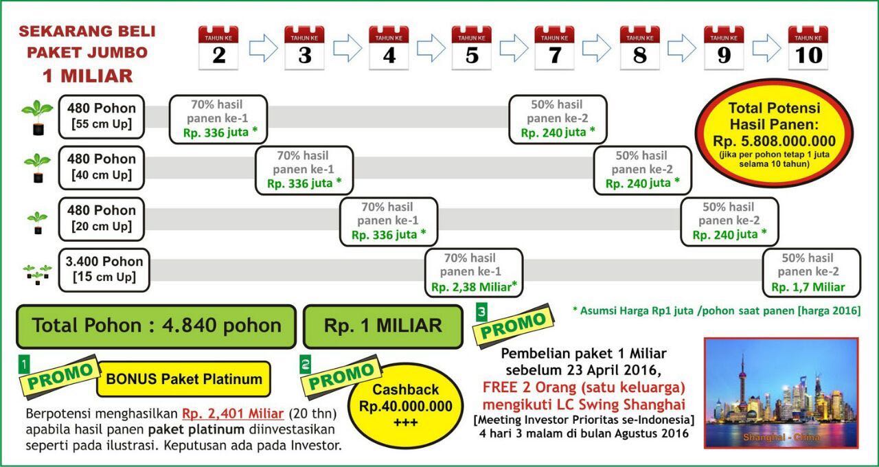 Green Property I GIST Program Menanam Kayu Jabon