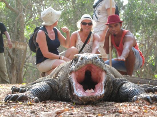 Wonderful of Komodo Island