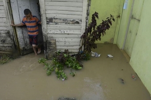 La leptospirosis ha causado 53 muertes en lo que va de año