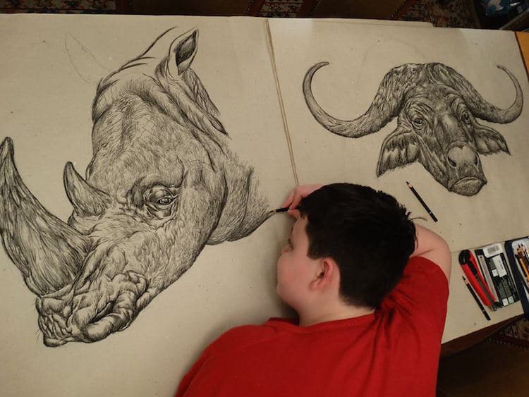 15-Year-Old Boy Illustrates Stunning Animal Drawings From Memory